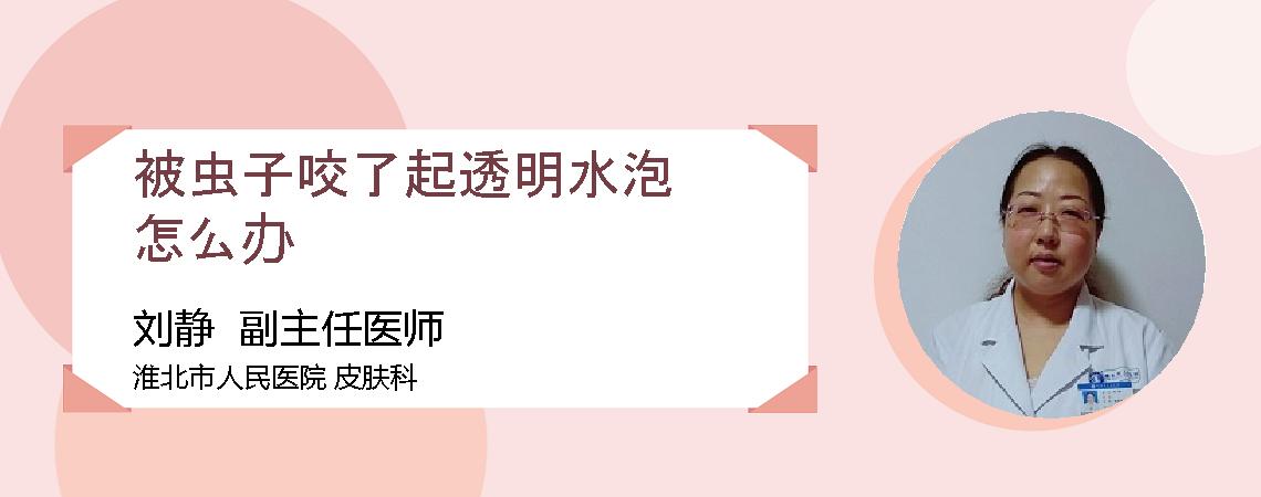 被虫子咬了起透明水泡怎么办