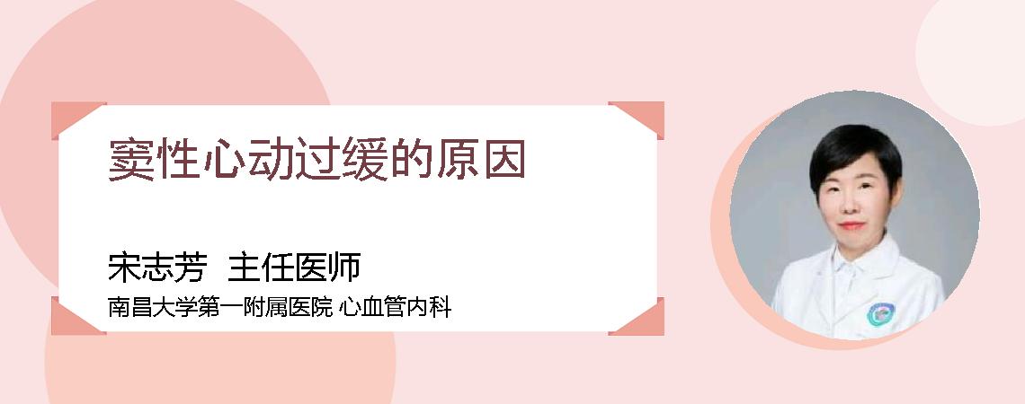 窦性心动过缓的原因
