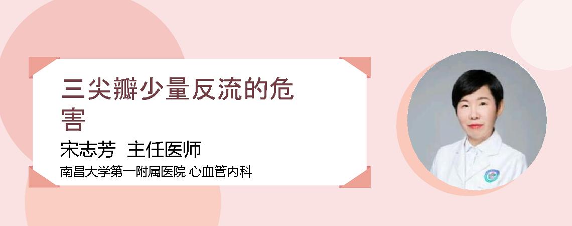 三尖瓣少量反流的危害