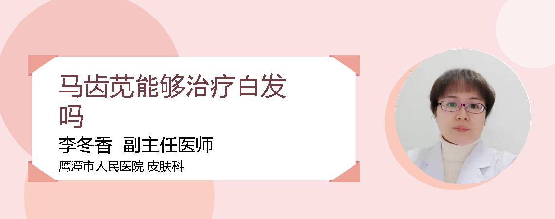 马齿苋能够治疗白发吗
