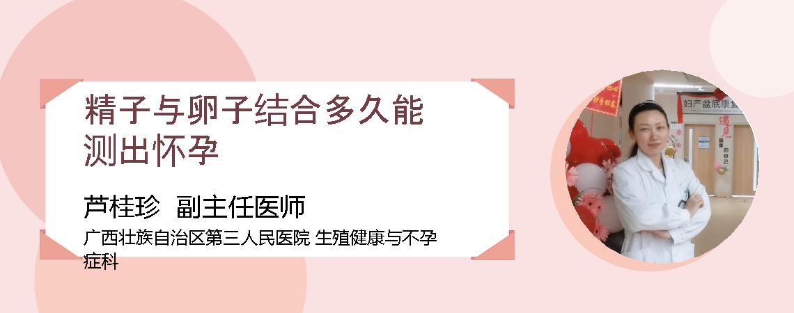 精子与卵子结合多久能测出怀孕