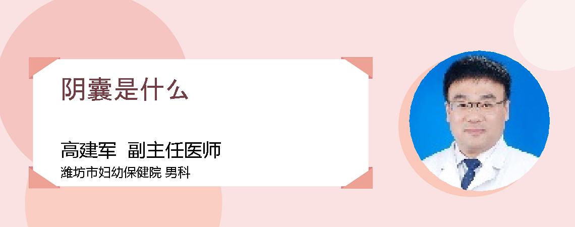 阴囊是什么