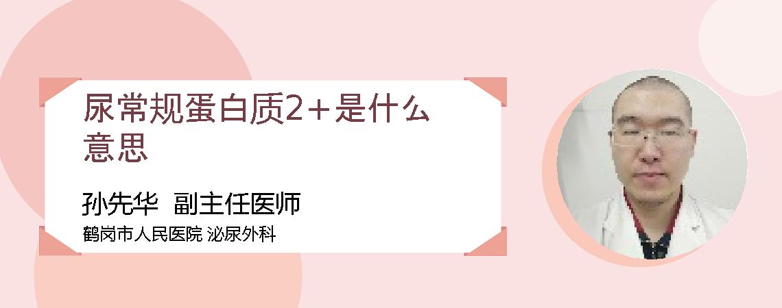 尿常规蛋白质2+是什么意思