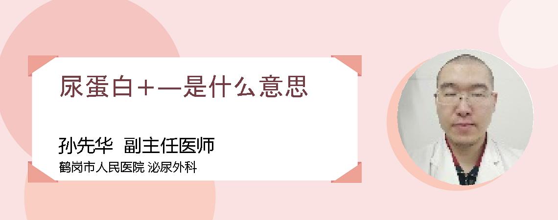 尿蛋白+—是什么意思