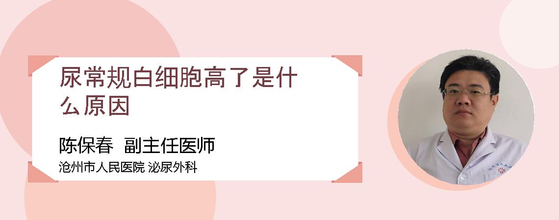 尿常规白细胞高了是什么原因