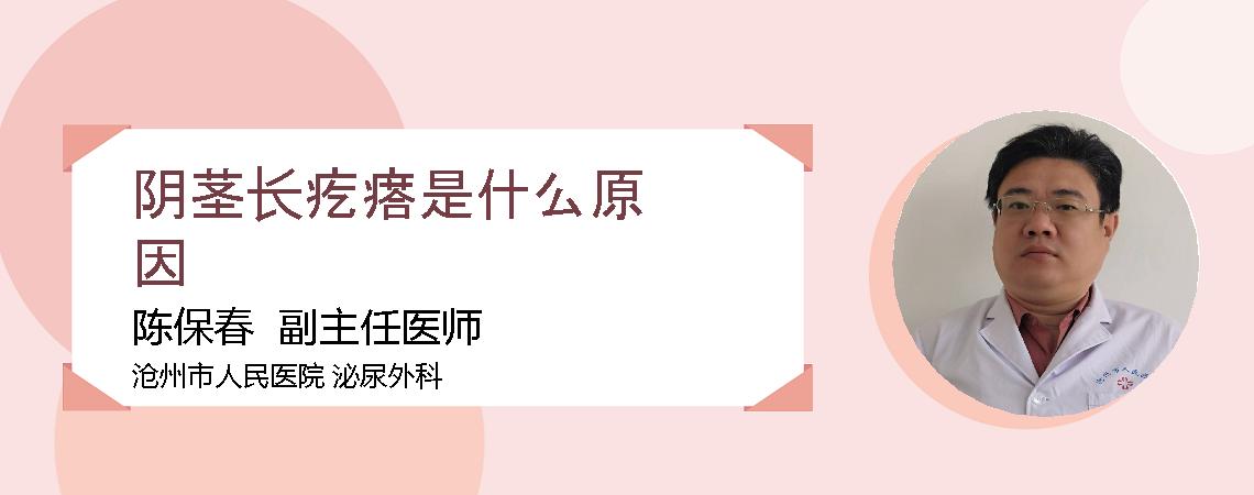 阴茎长疙瘩是什么原因