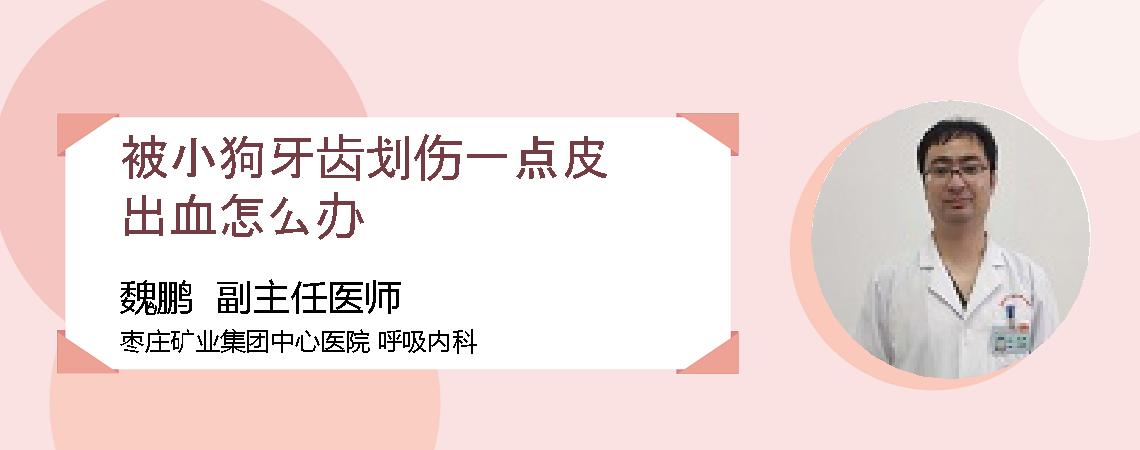 被小狗牙齿划伤一点皮出血怎么办