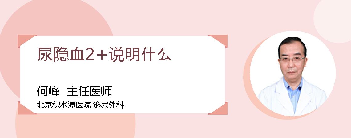 尿隐血2+说明什么