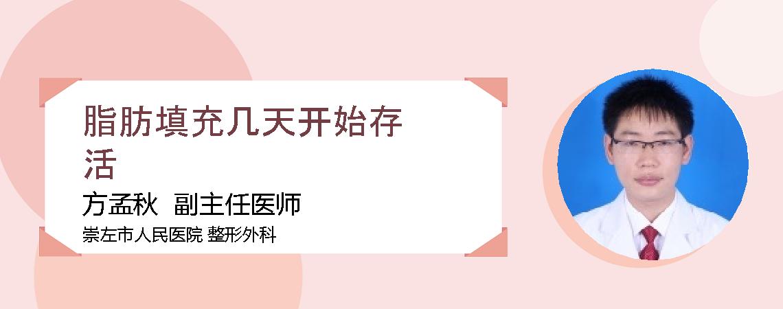 脂肪填充几天开始存活